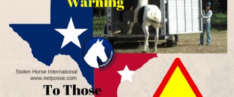 TEXAS-We Have A Horse Theft Problem